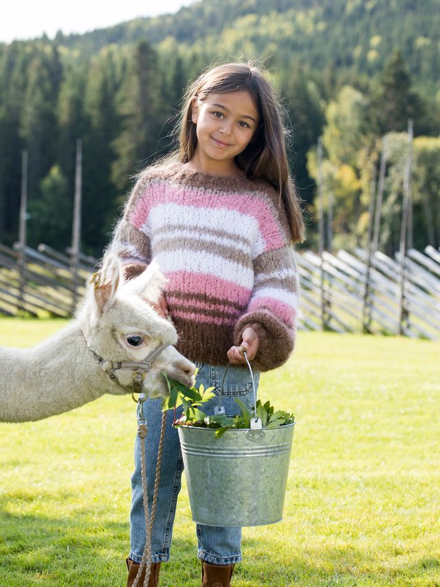 03-19 Carnelian barnegenser