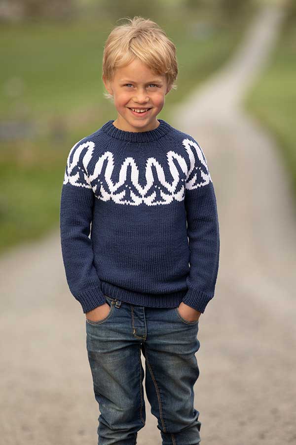 2019-2 Pilot sweater