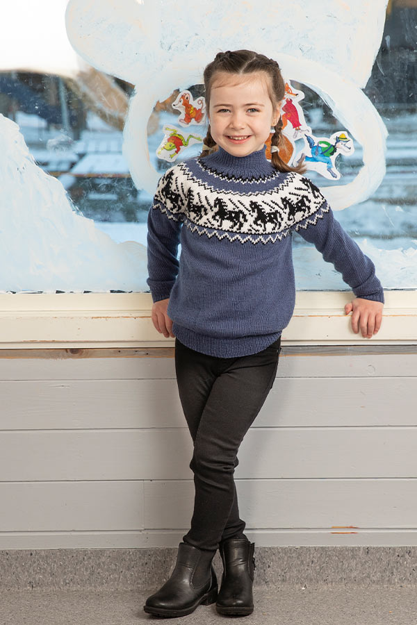 2110-9 Hest trøje jeansblå