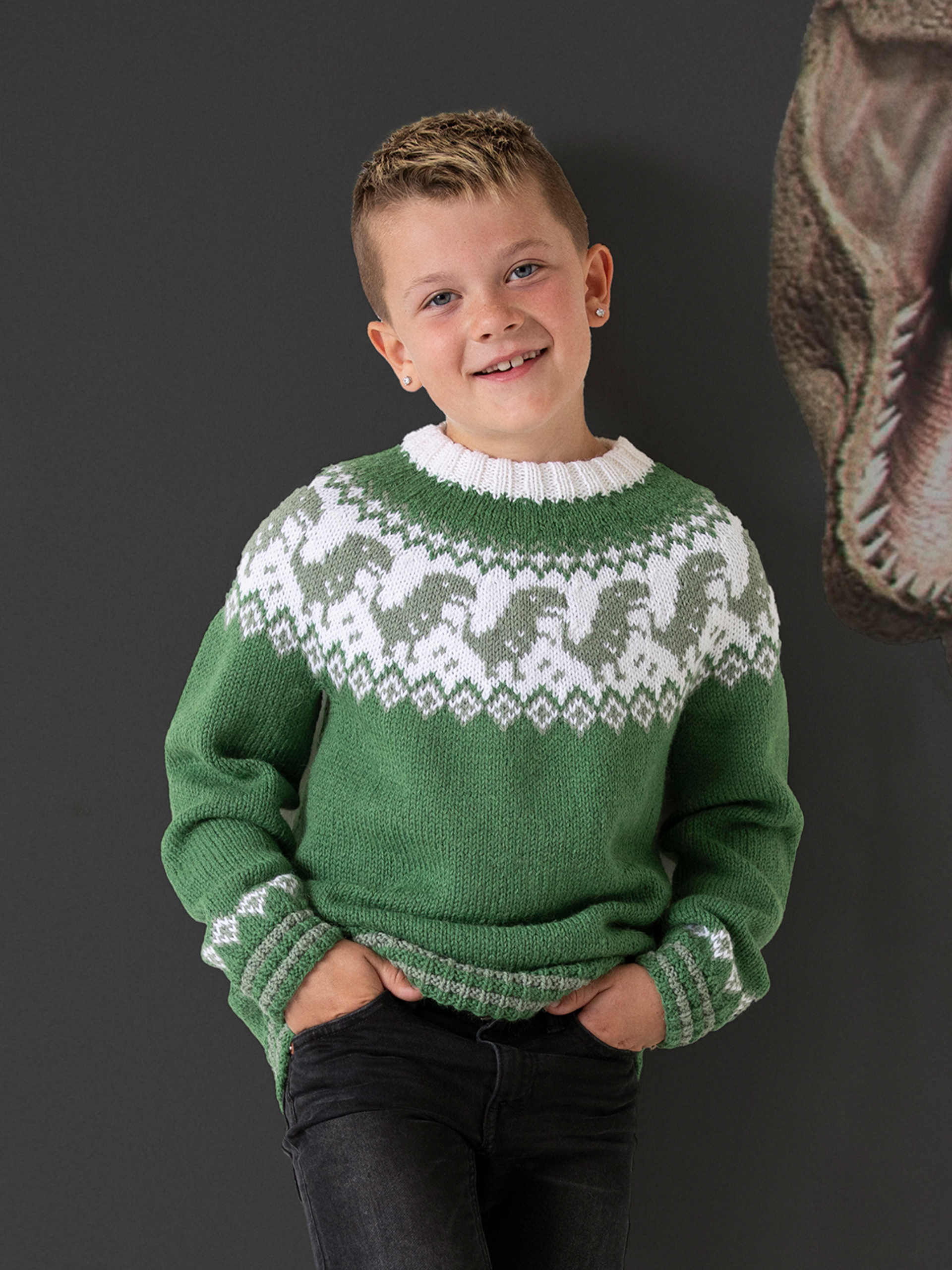 2131-6 Dino sweater og lue