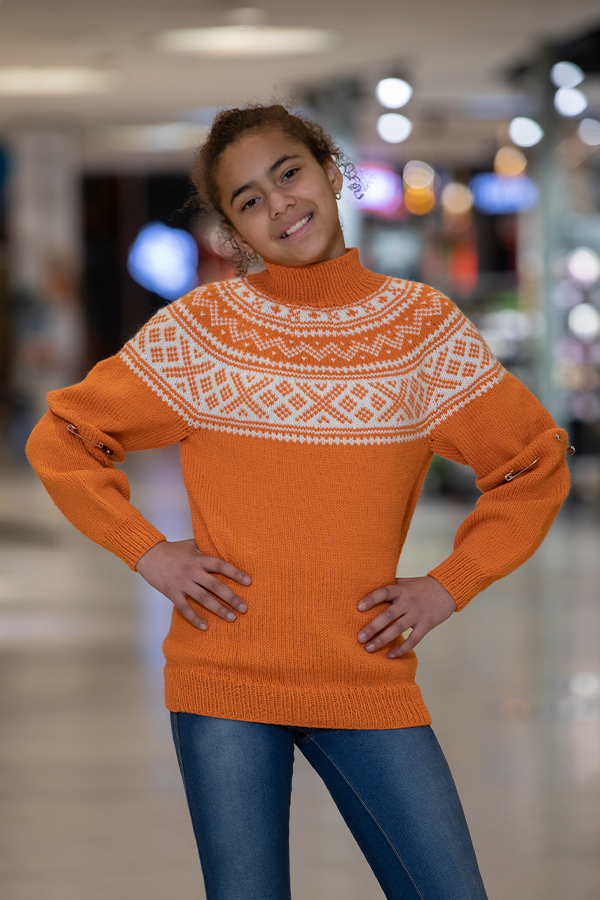 2210-3 Setesdal sweater