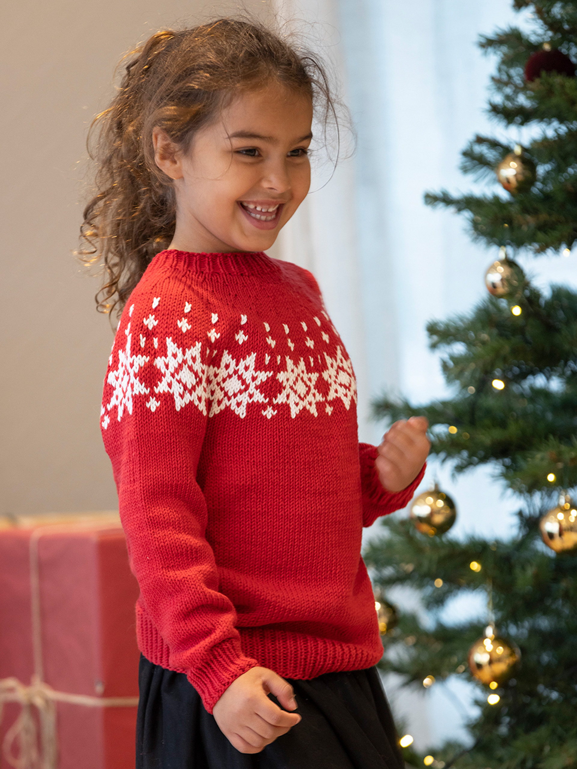 2334-22 Stjerne genser