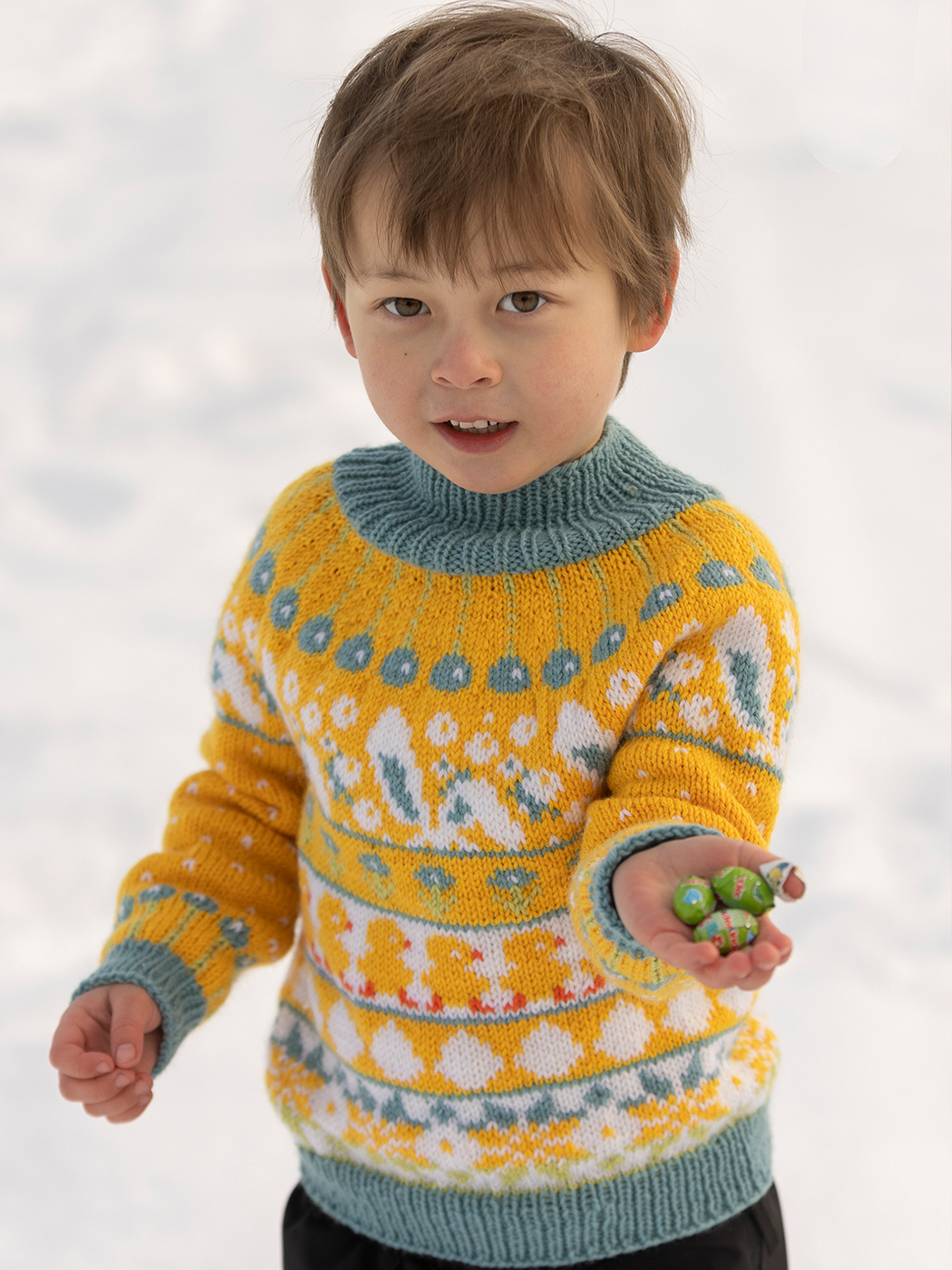 2412-2b Påskestemning genser