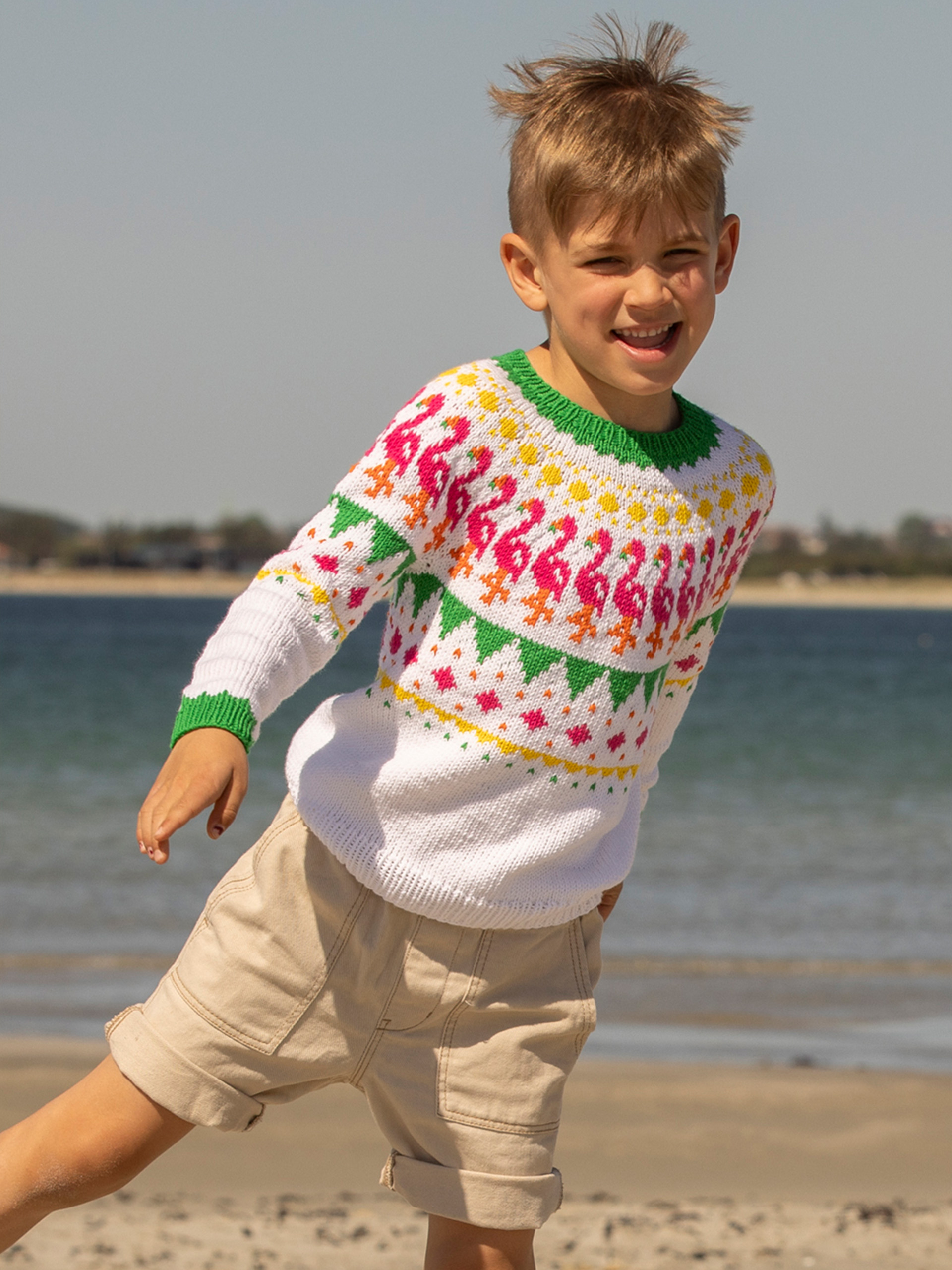 2422-3a Flamenco genser