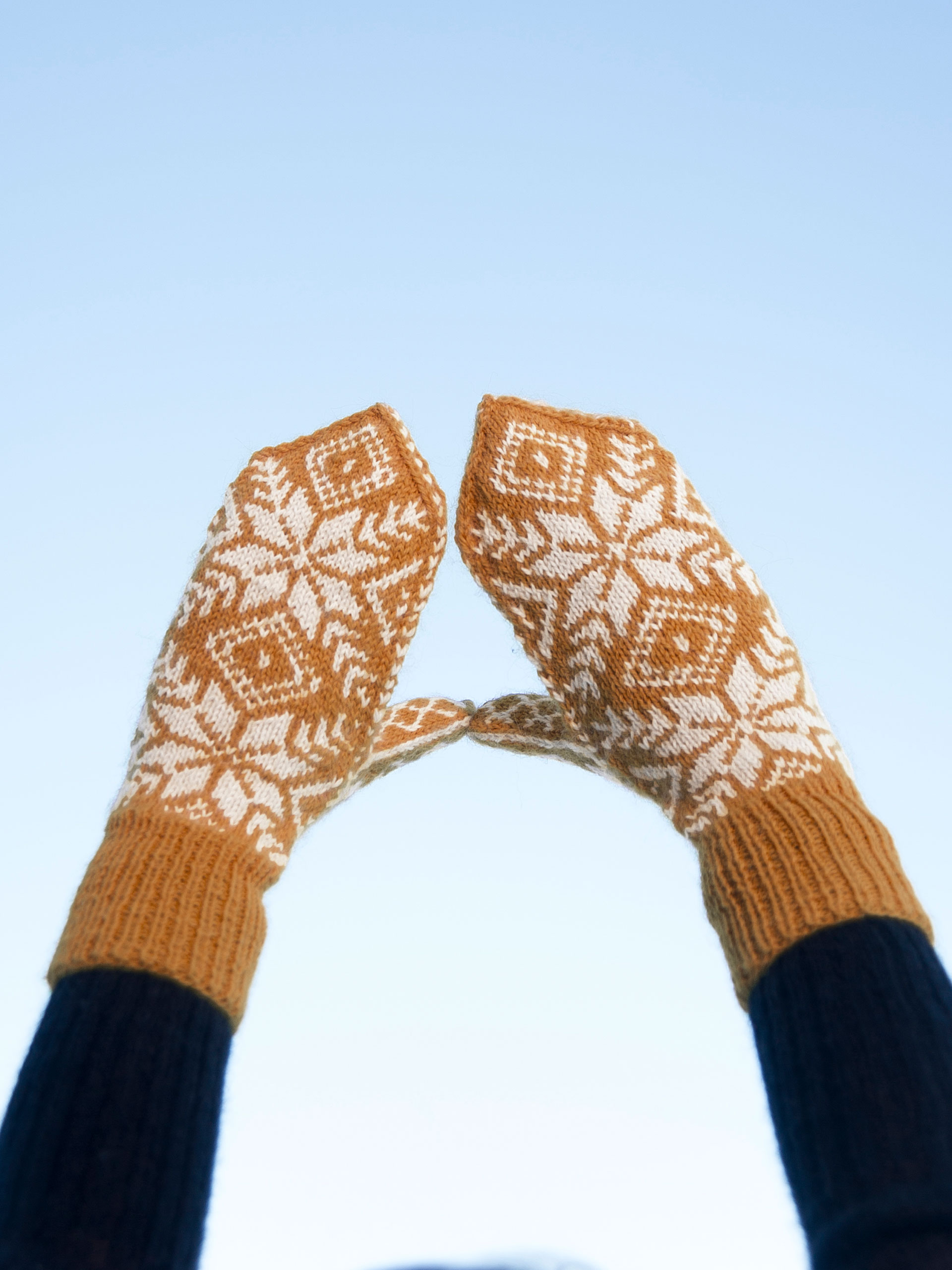 275-17f Rosemønster votter