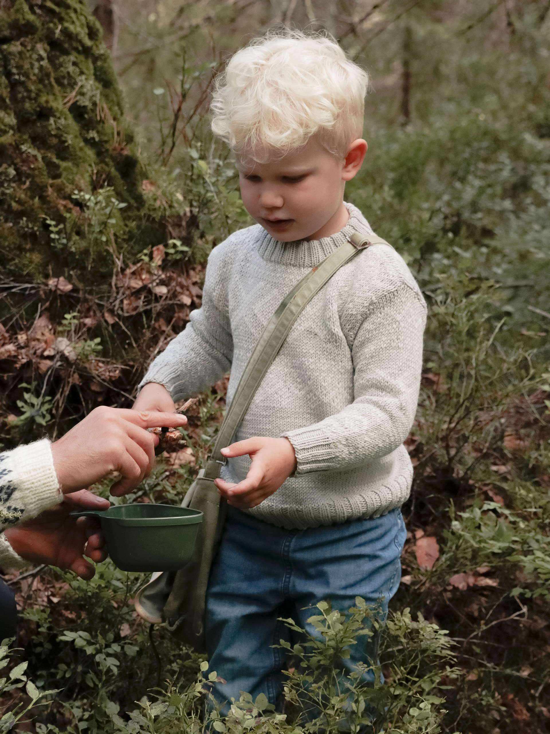 458-03 Cortina barnegenser