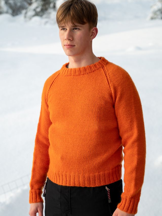 463-09 Steingar genser