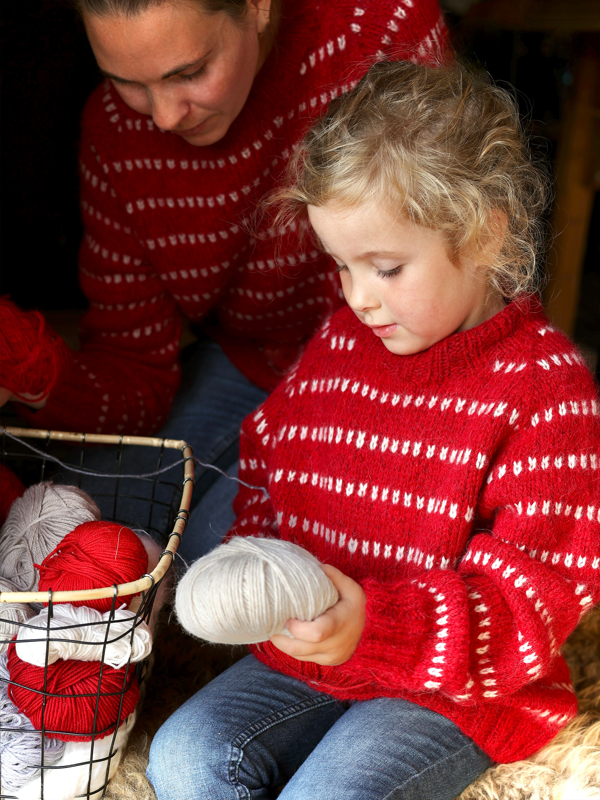 529S-25a ROS mini