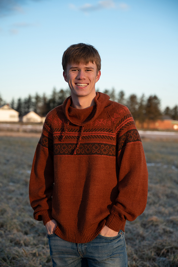 MIGUEL sweater rustbrun