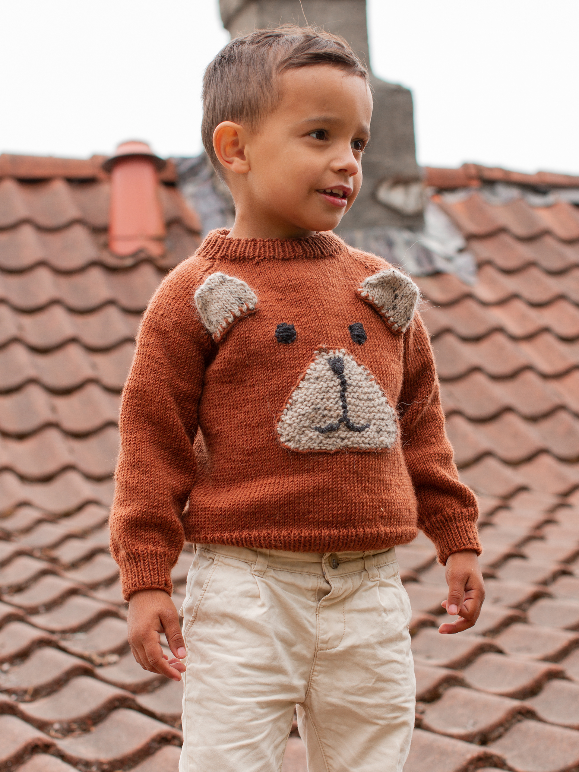 BJØRNAR sweater rustbrun