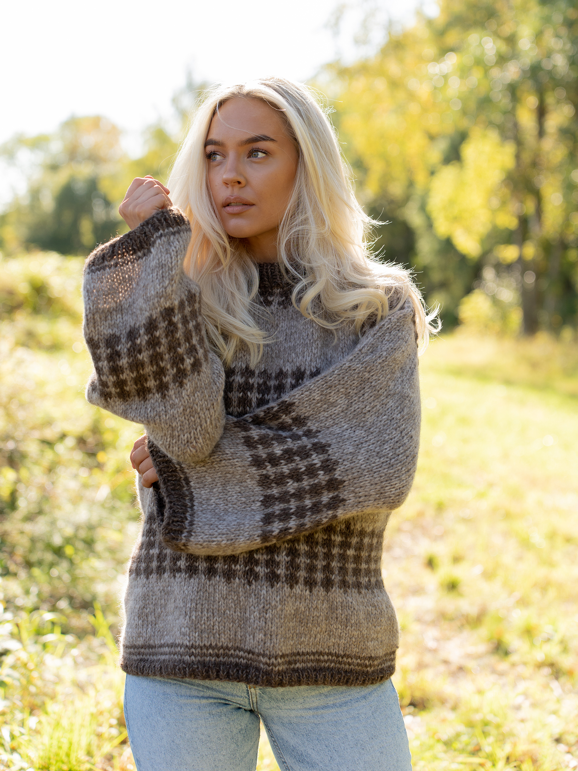 CHARLIE SAGA sweater beige/brun