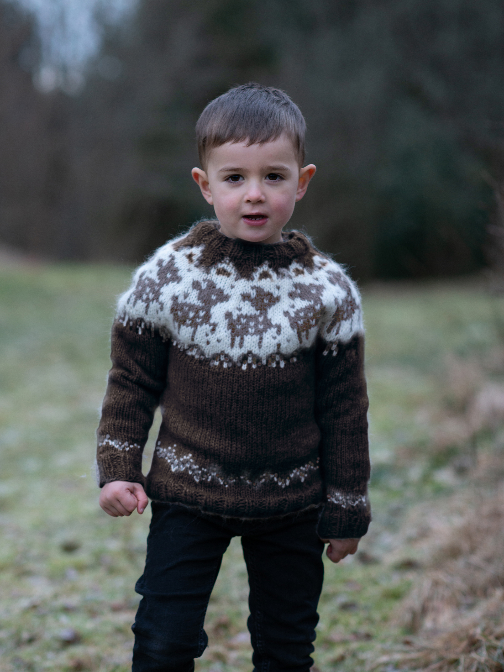 DEER sweater børn brun