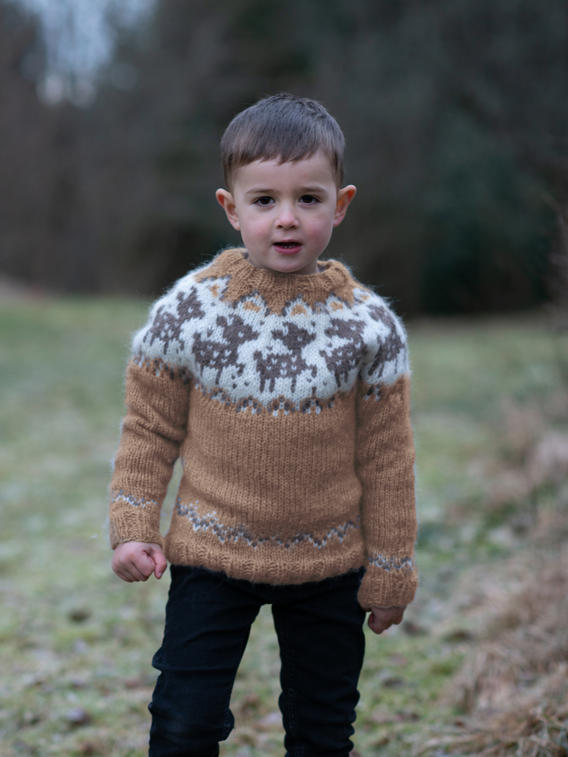DEER sweater børn camel
