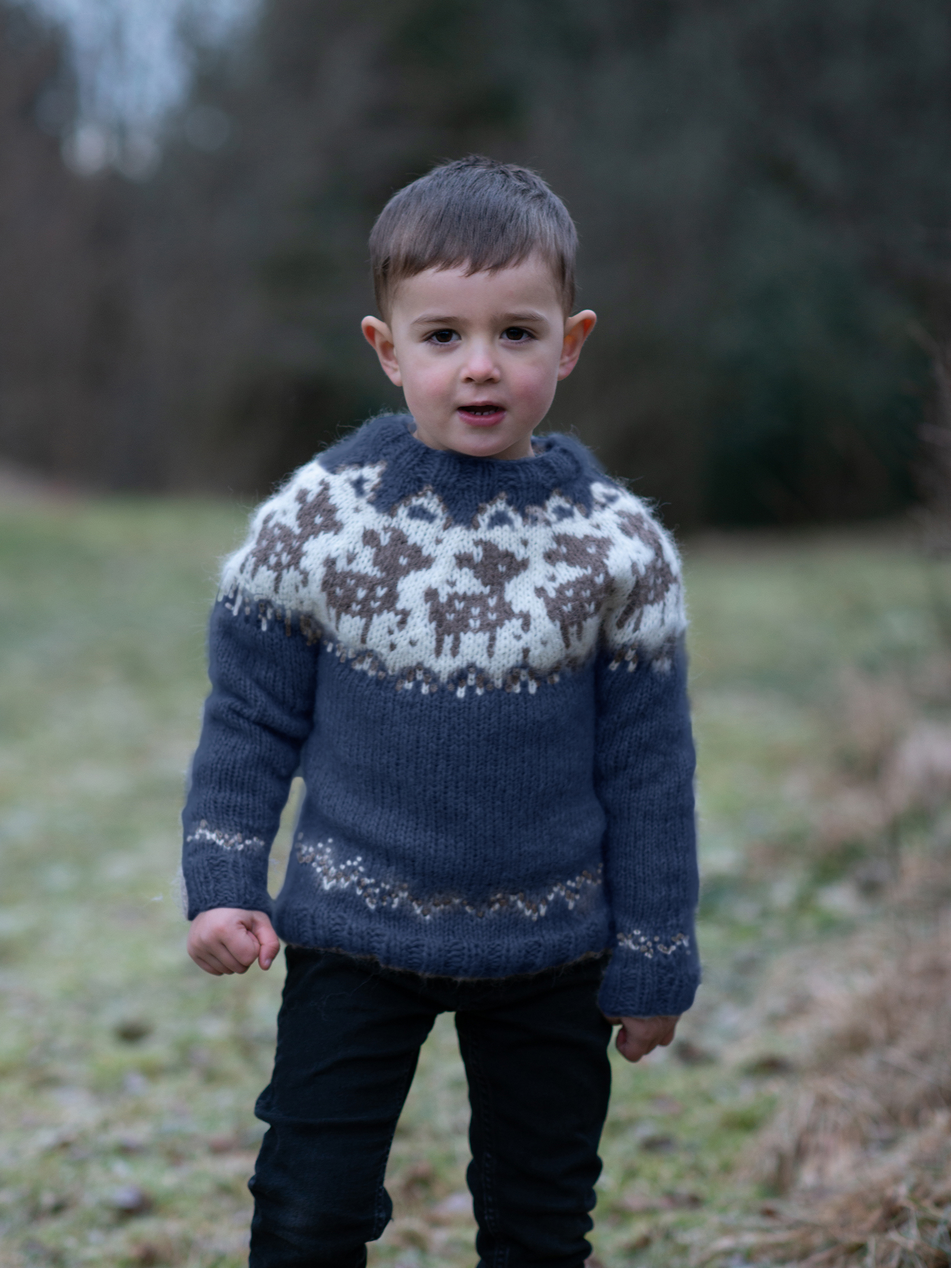 DEER sweater børn jeansblå