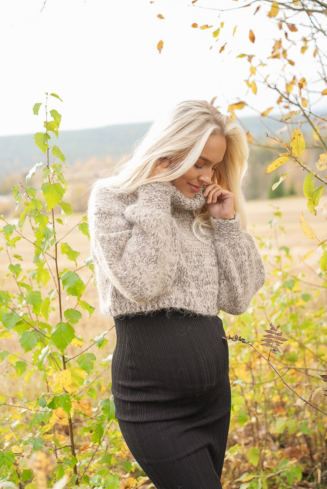 423V-02a THE BASIC Cropped