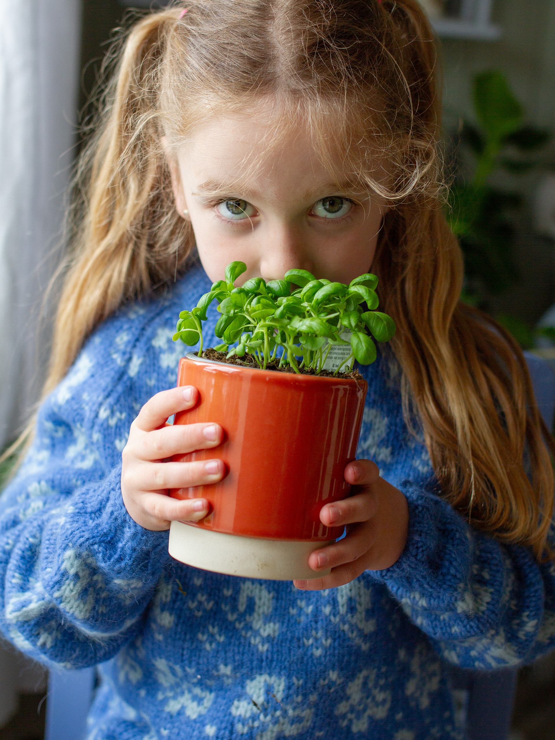 423K-05b JUNIDRØM bluse