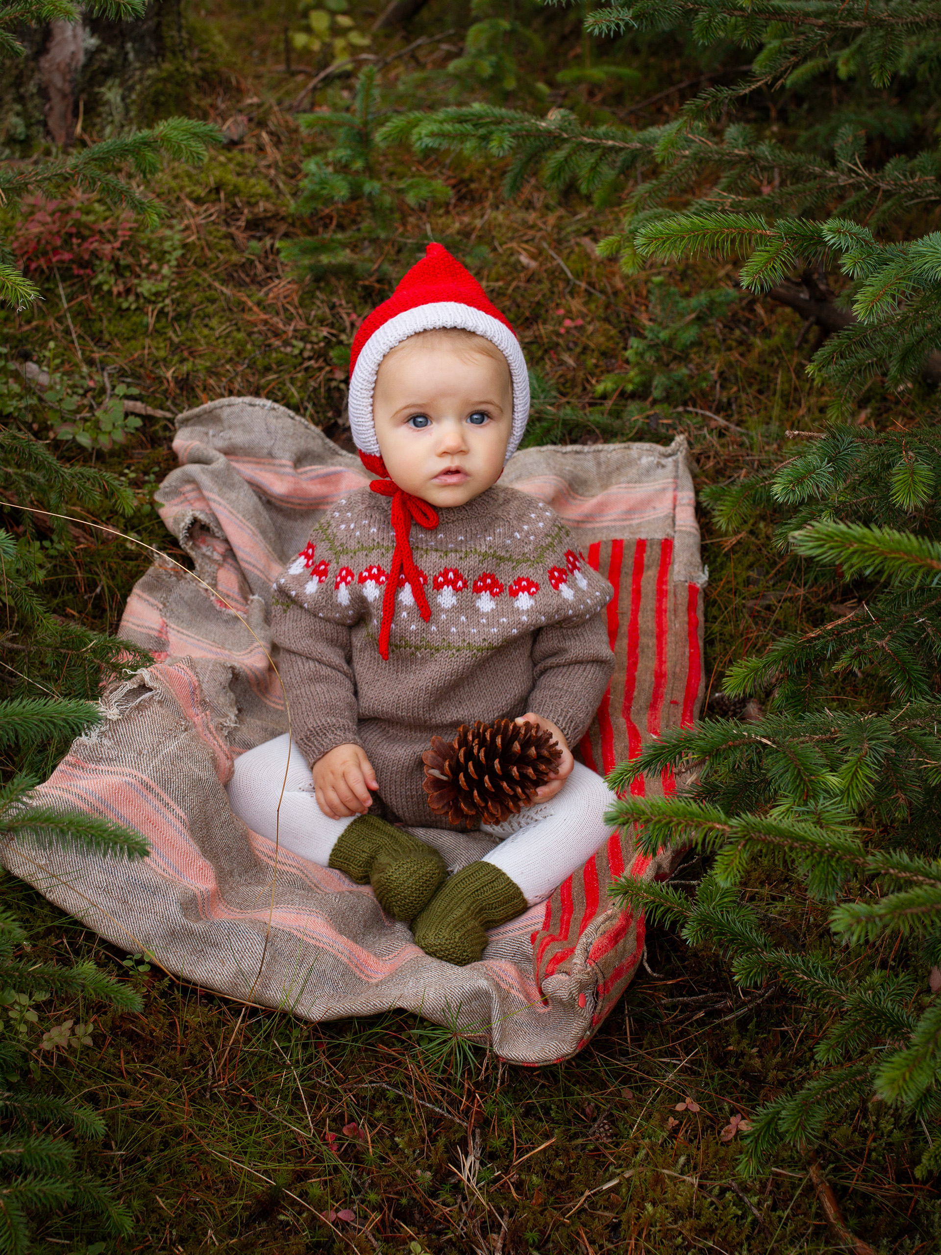 424K-14 MYCO babysæt