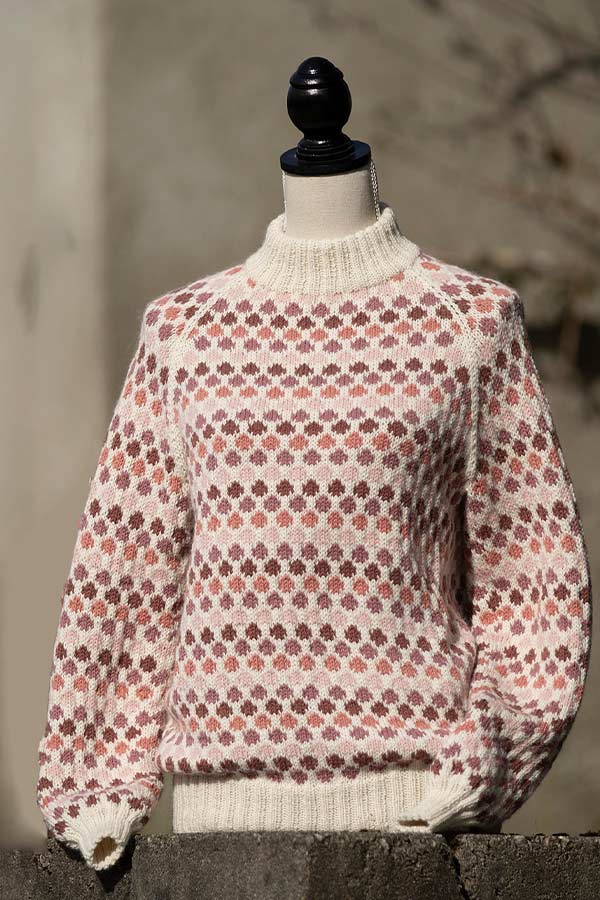 2010-1 Oppfinner sweater