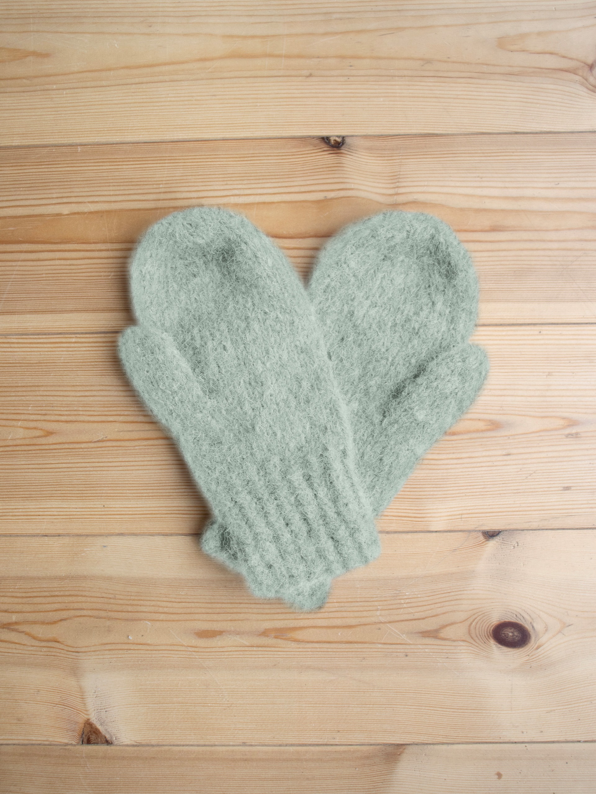 IR 01-13c Ingrid votter