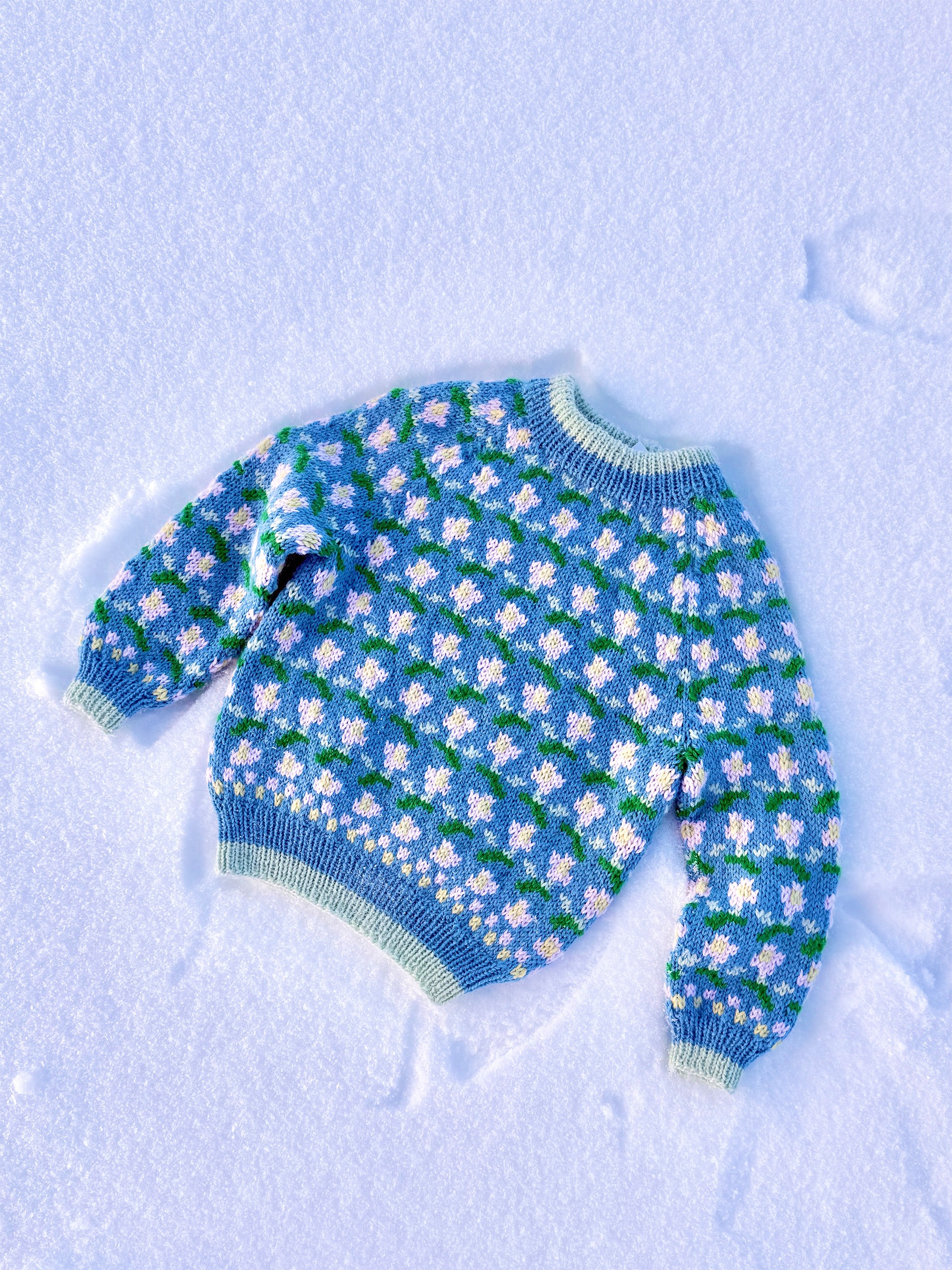 IR 03-17a Ellinor raglangenser barn