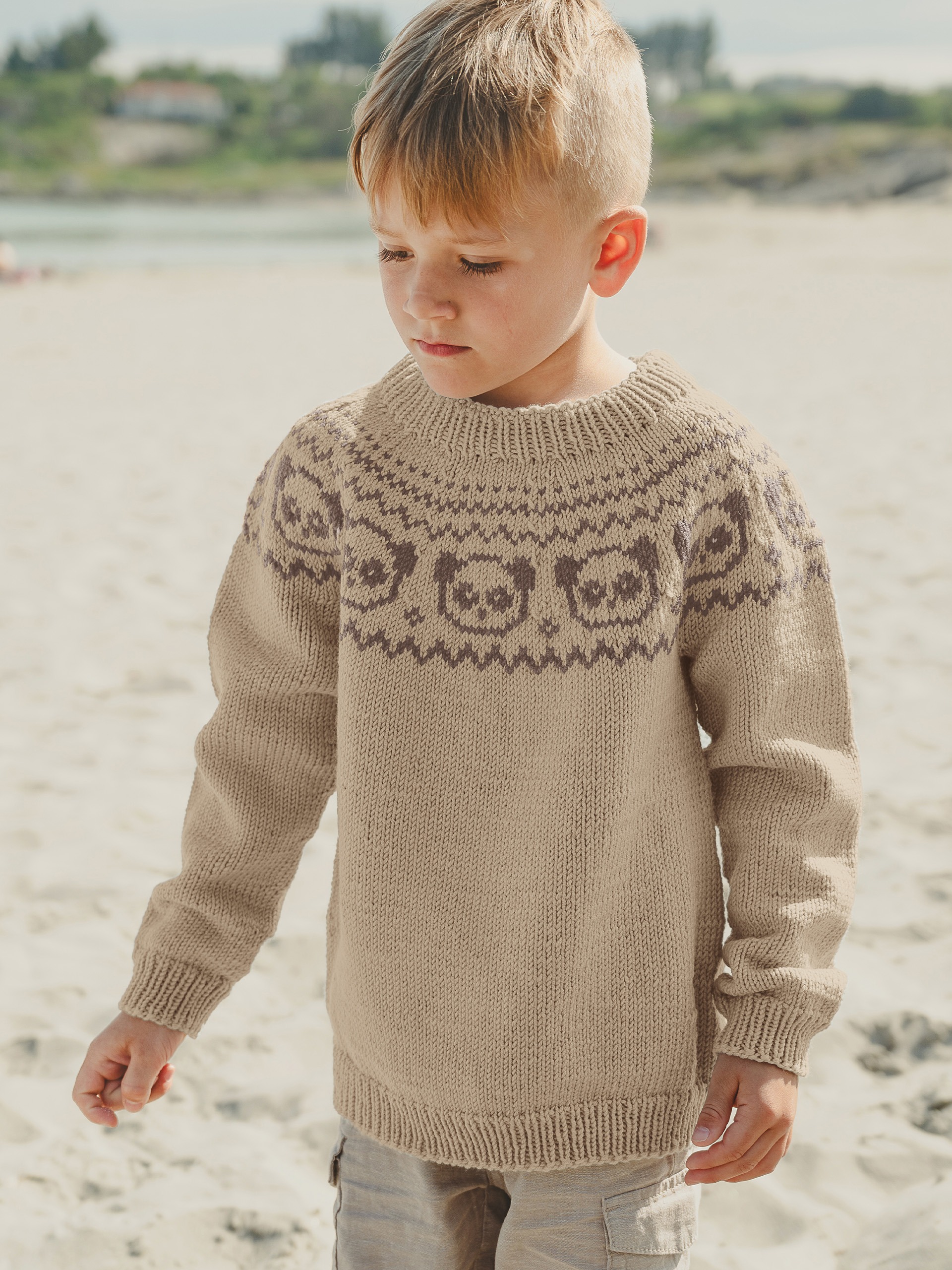 IR 02-01d Hanami sweater (Påfugl in Paris)