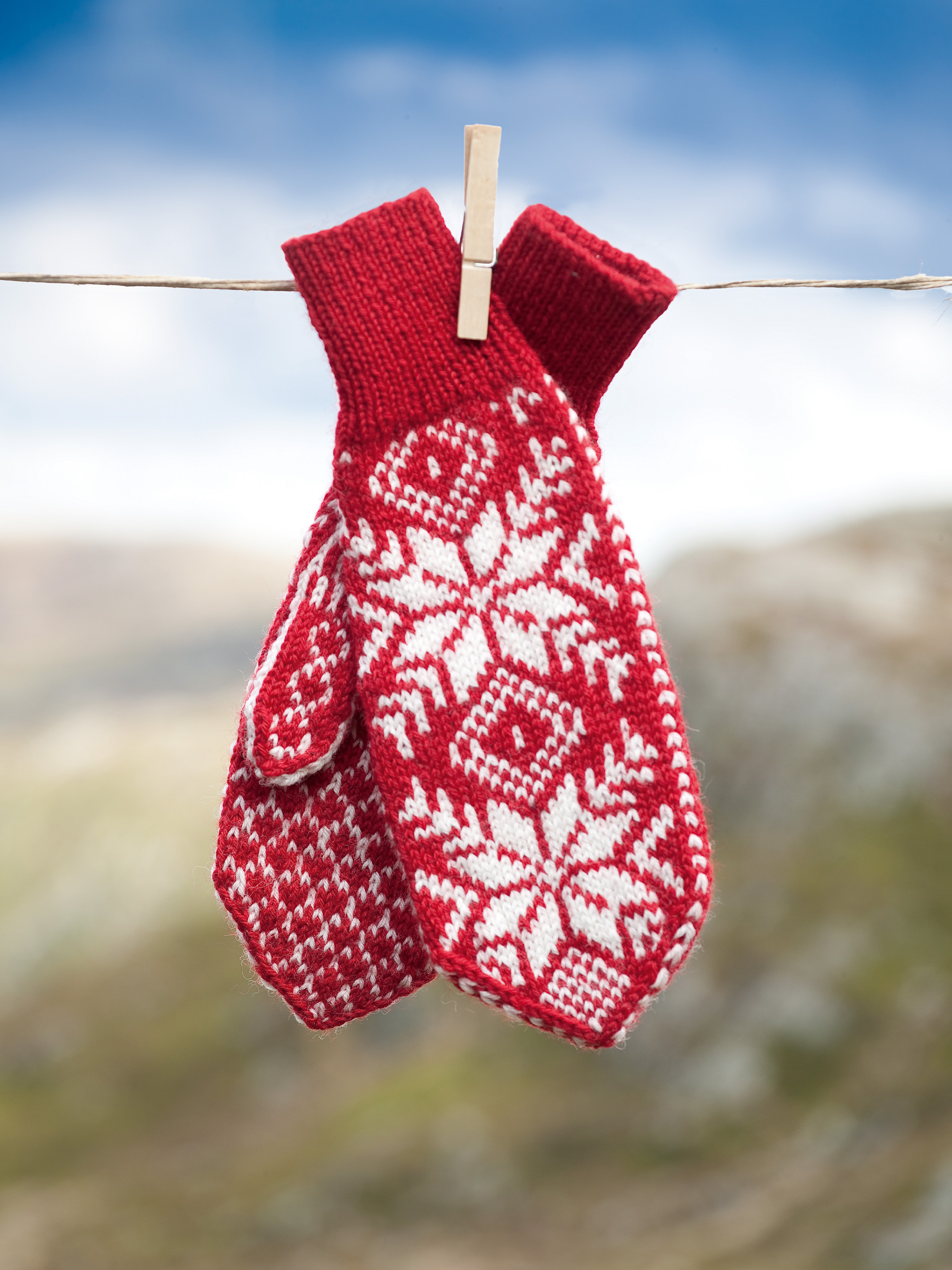 219-16 Stjerne votter