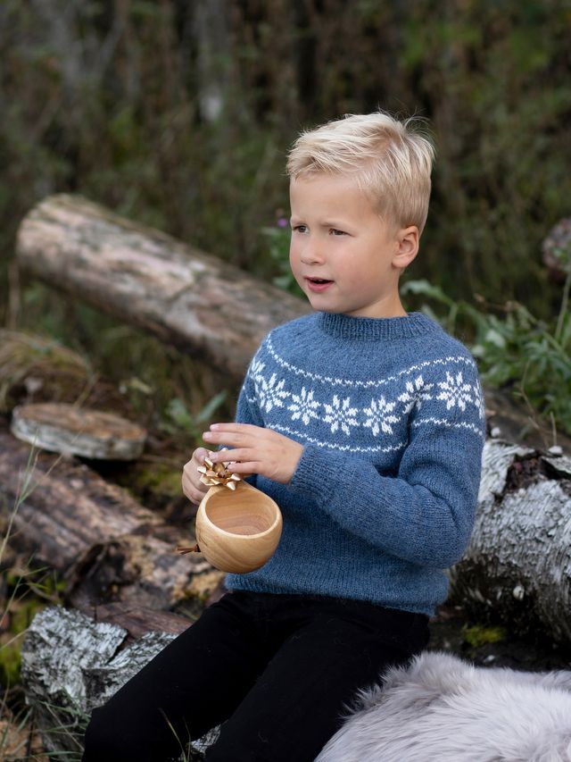 420-01 Stjernesweater