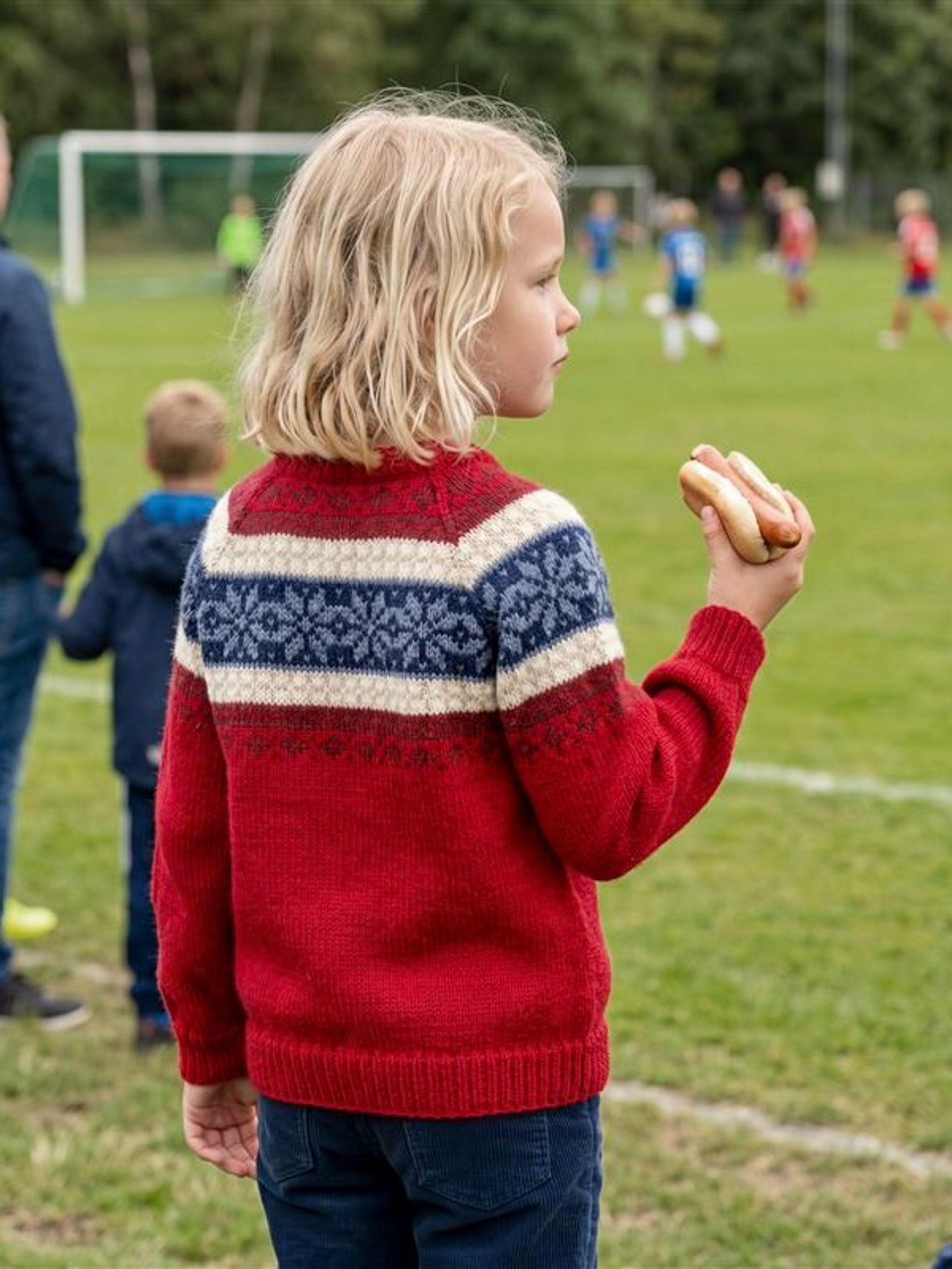 621S-03b Knit of Norway mini