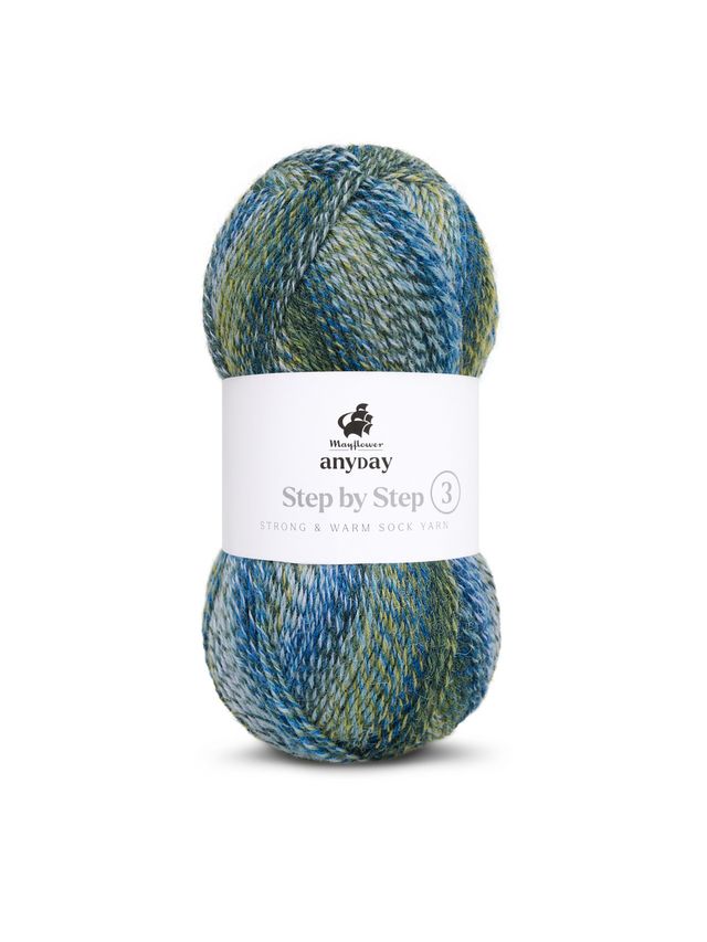 ANYDAY Step by Step 3