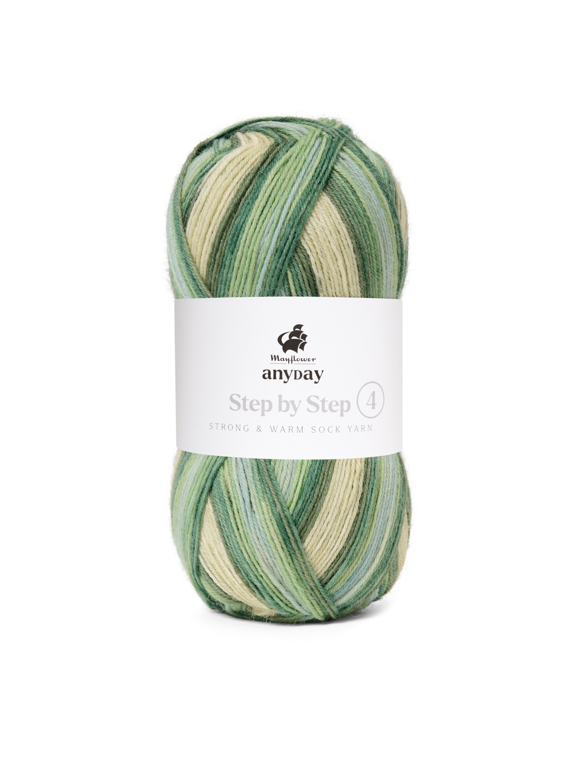 ANYDAY Step by Step 4