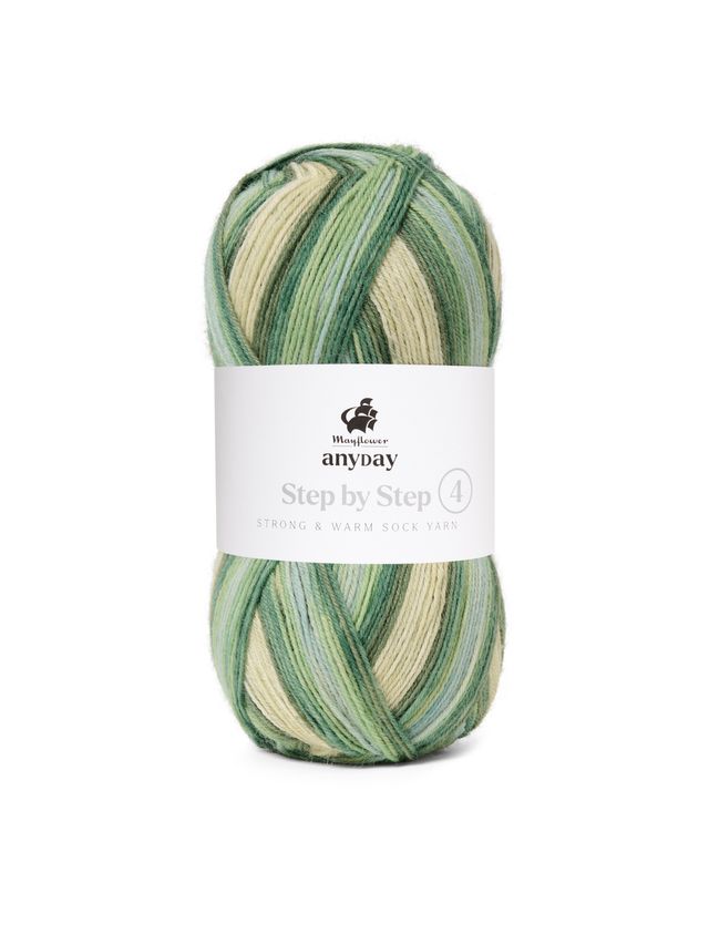 ANYDAY Step by Step 4