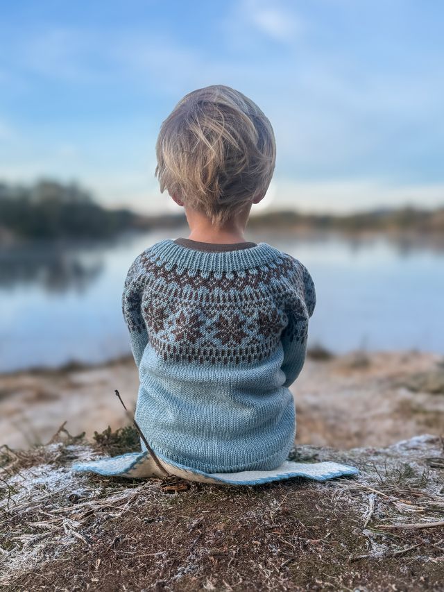 621MS-03 Chunky selbu sweater mini