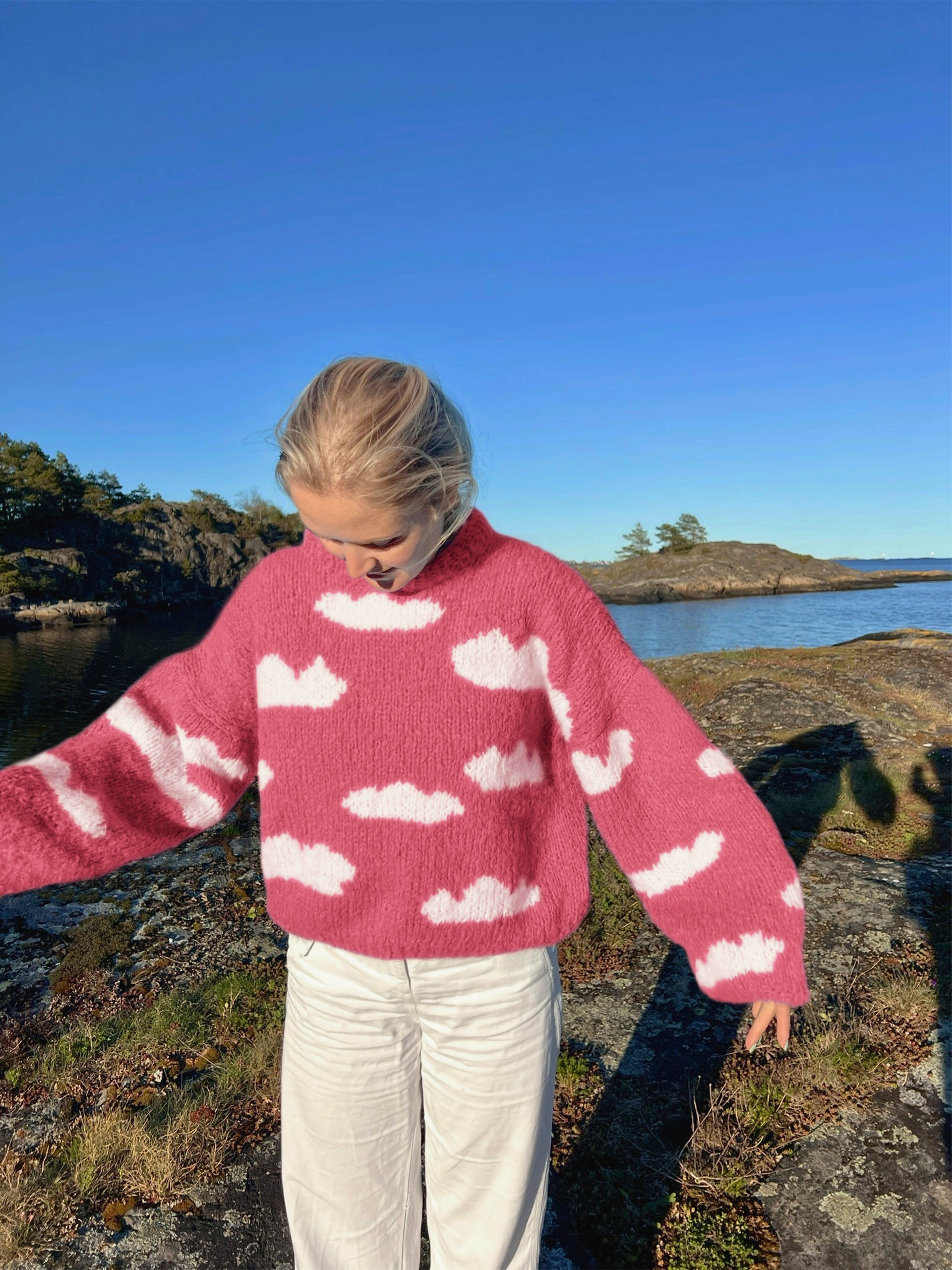 IR 01-04ad Skyhigh genser (Fnugg in Florence)