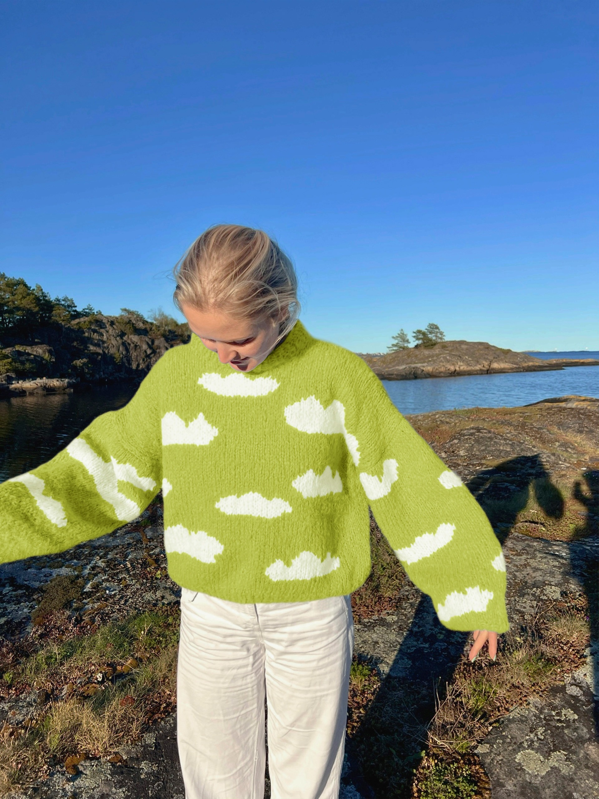 IR 01-04o Skyhigh genser (Fnugg in Florence)