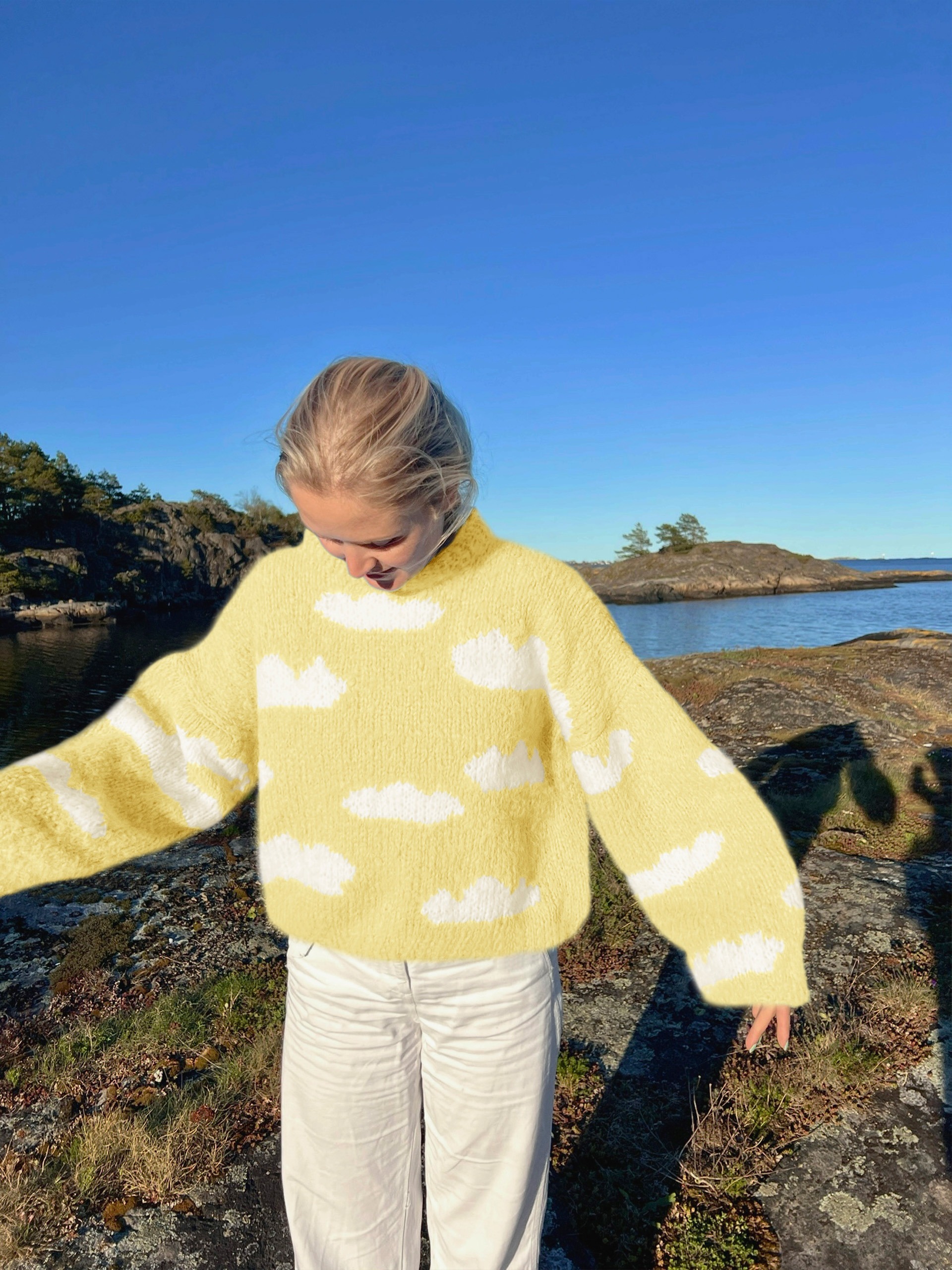 IR 01-04q Skyhigh genser (Fnugg in Florence)