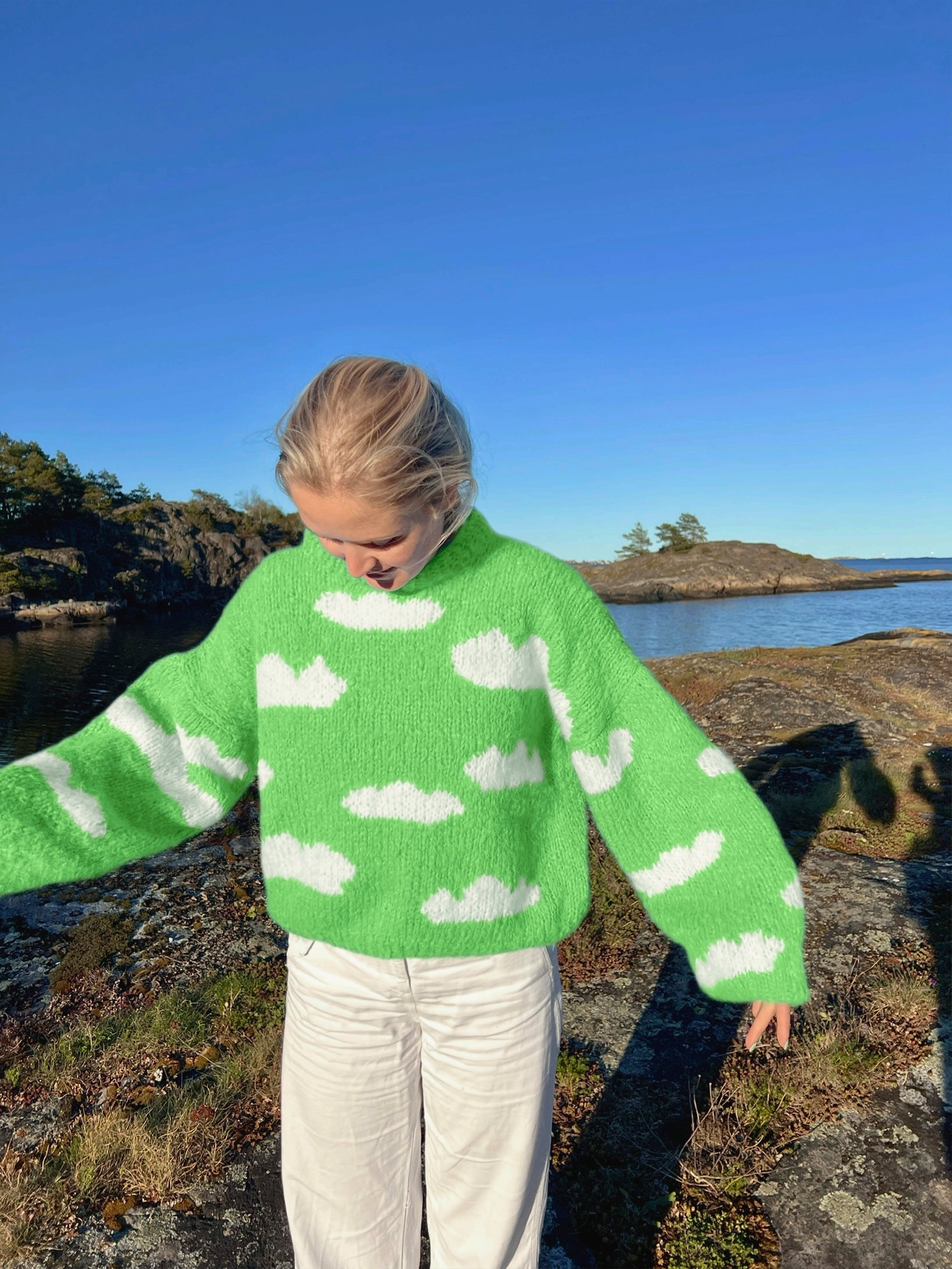 IR 01-04x Skyhigh genser (Fnugg in Florence)