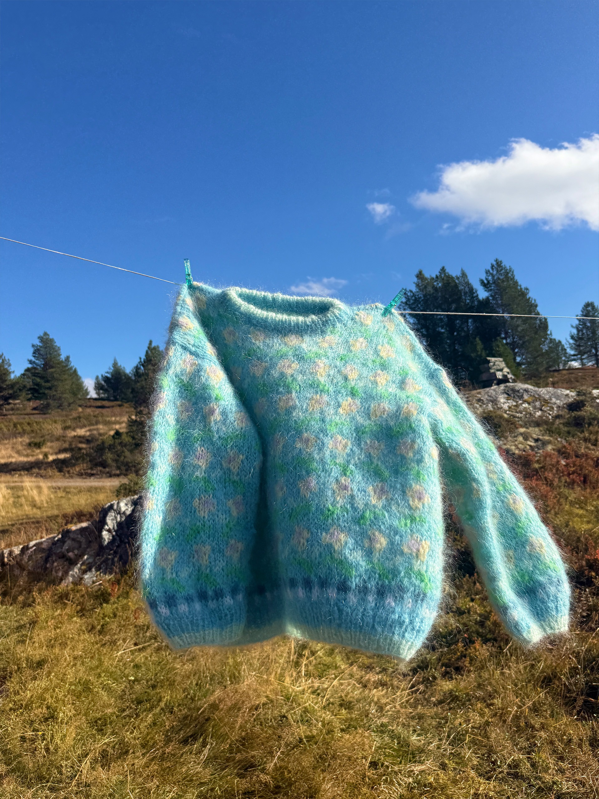 IR 03-08a Ellinor genser (Påfugl in Paris)