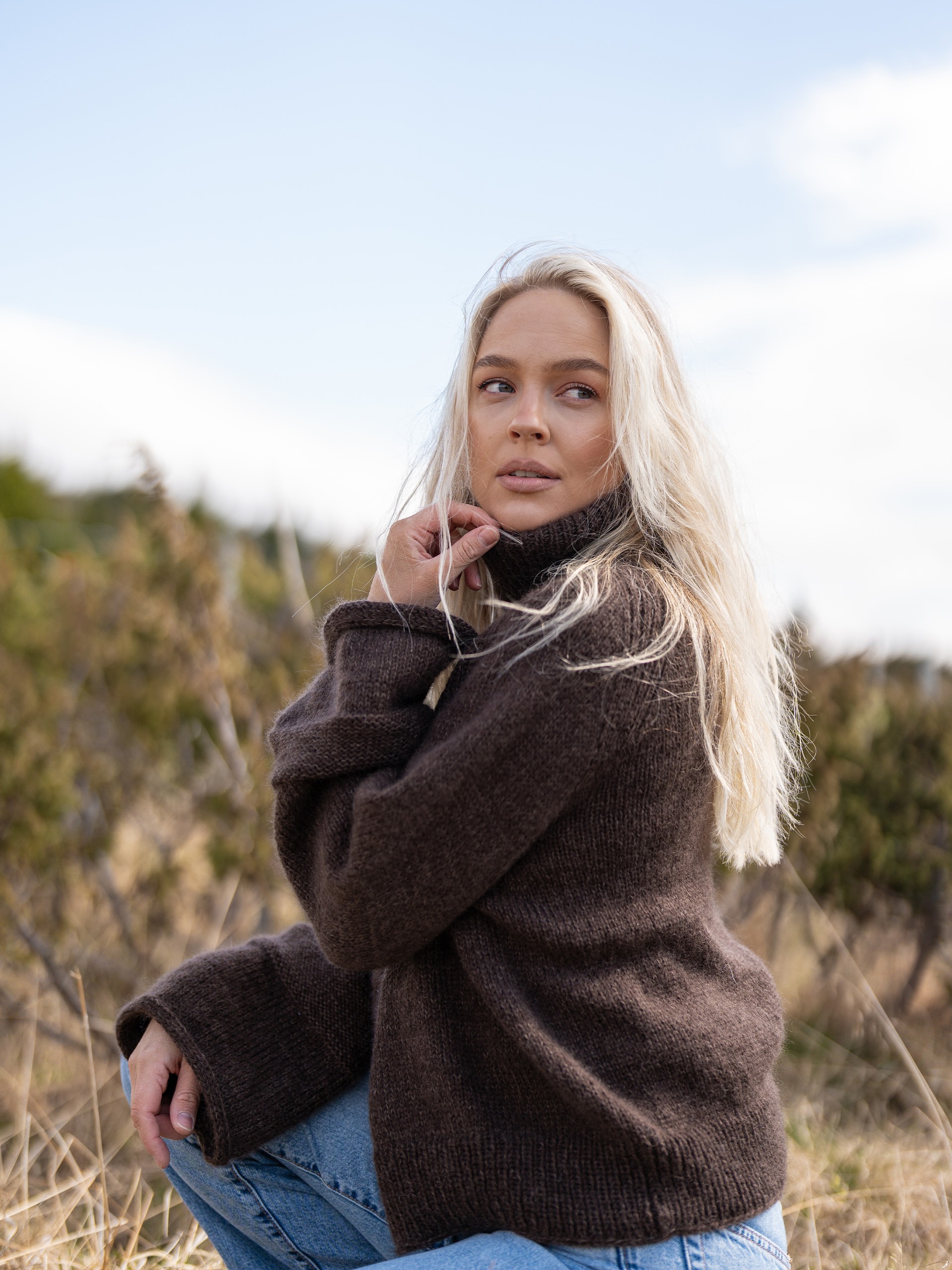 523V-02c Mjødurt brun