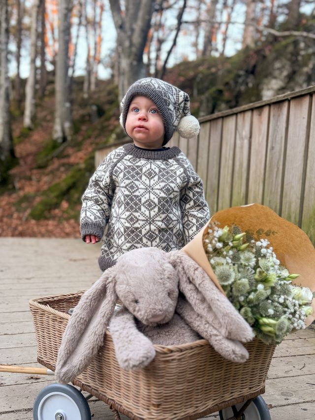 621MS-12 Selbusweater mini