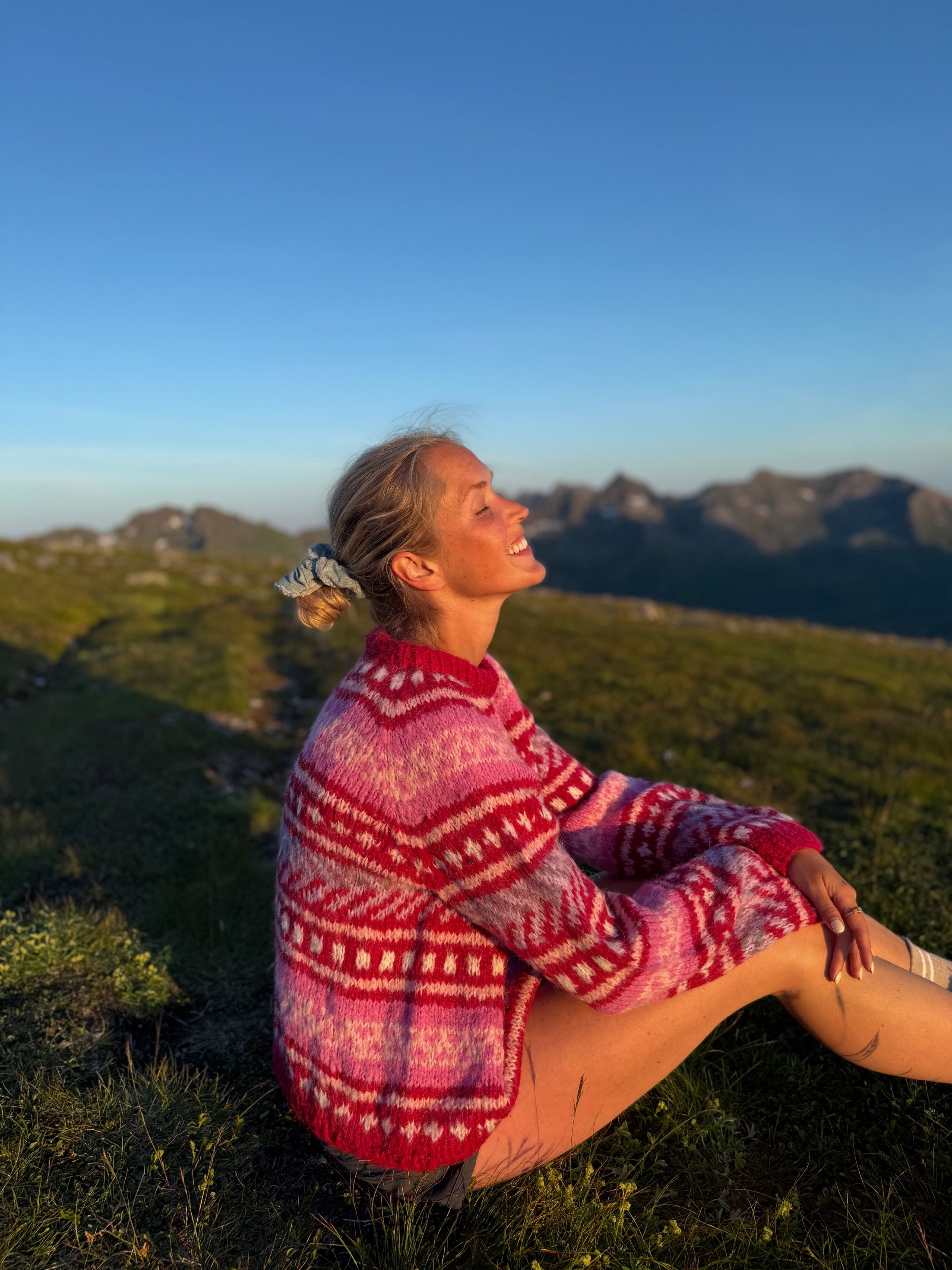 IR 02-06d Hanami raglansweater (Soft)